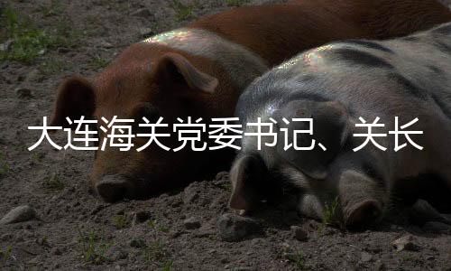 大连海关党委书记、关长刘大立接受纪律审查和监察调查