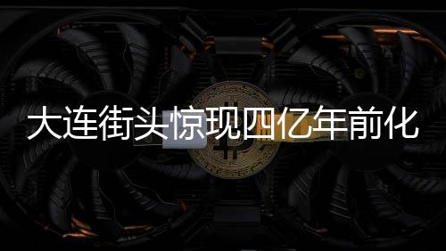 大连街头惊现四亿年前化石，市民偶遇史前宝藏