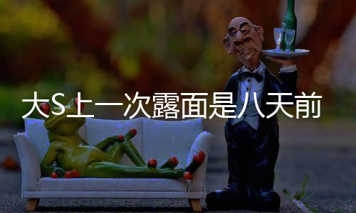 大S上一次露面是八天前，探寻明星的日常与神秘面纱背后的故事