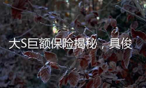 大S巨额保险揭秘，具俊晔或成受益人，遗产纷争引发关注