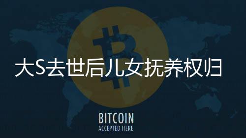 大S去世后儿女抚养权归谁，聚焦热点话题的深度解析