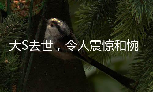 大S去世，令人震惊和惋惜的消息