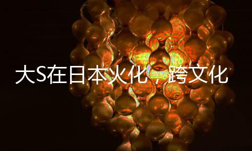 大S在日本火化，跨文化视角下的审视