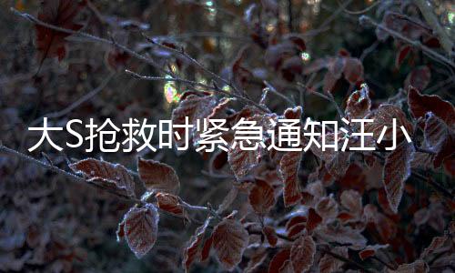 大S抢救时紧急通知汪小菲，揭开这一紧急时刻的幕后真相