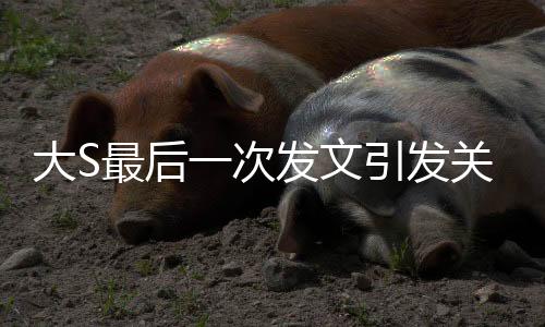 大S最后一次发文引发关注，内容竟是关于具俊晔的深情告白