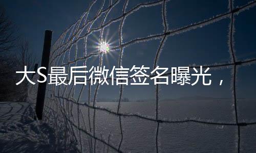 大S最后微信签名曝光，背后隐藏的深意与故事线索揭秘
