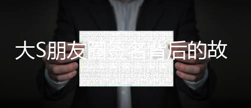 大S朋友圈签名背后的故事与揭秘，一场跨越数字时代的情感旅程