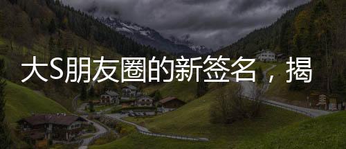 大S朋友圈的新签名，揭秘背后的故事与情感