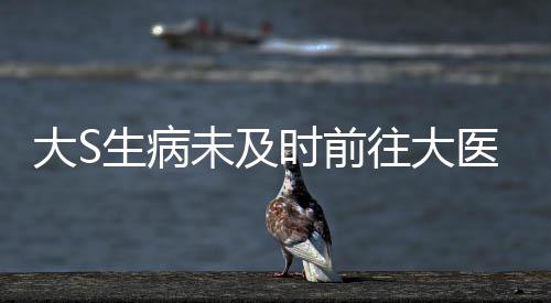 大S生病未及时前往大医院，引发关注与热议