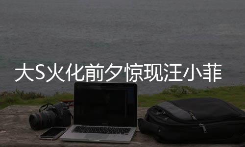 大S火化前夕惊现汪小菲电话风波，愤怒咆哮背后的复杂情感纠葛
