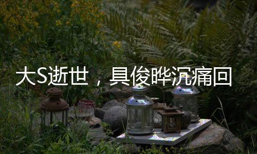大S逝世，具俊晔沉痛回应，我不好}