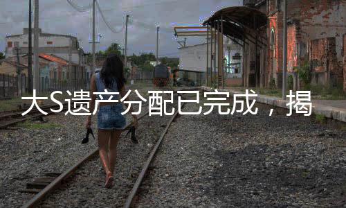 大S遗产分配已完成，揭开明星家族的财产交接之谜