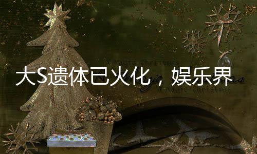 大S遗体已火化，娱乐界震惊的消息
