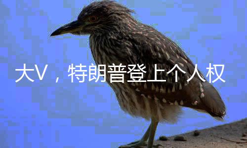 大V，特朗普登上个人权力的巅峰