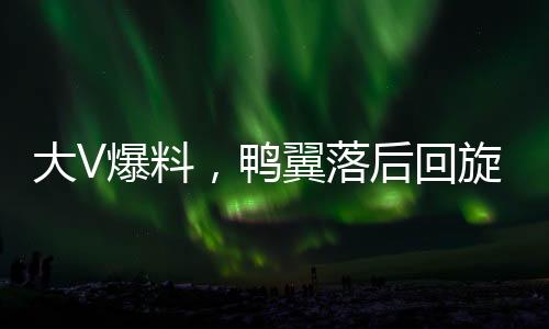 大V爆料，鸭翼落后回旋镖效应直戳美国人痛点