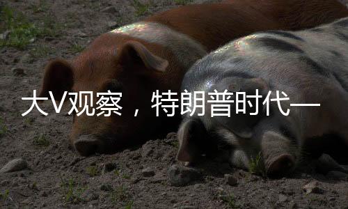 大V观察，特朗普时代——美国近三十年布局灰飞烟灭