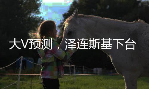 大V预测，泽连斯基下台或成定局