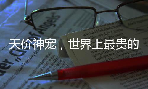 天价神宠，世界上最贵的狗以570万美元成交