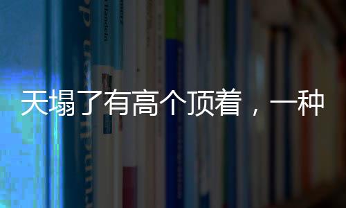 天塌了有高个顶着，一种社会现象的具象化解读
