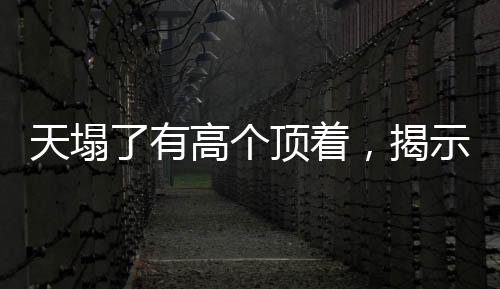 天塌了有高个顶着，揭示社会中的责任与担当具象化现象