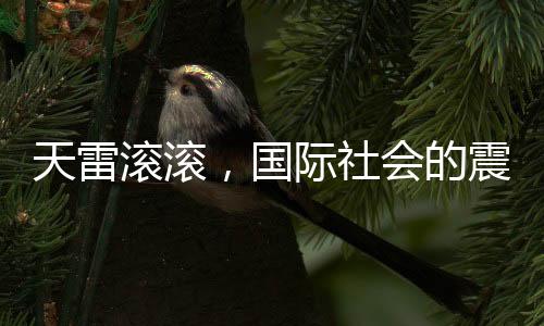 天雷滚滚，国际社会的震动与反响——传闻传入联合国
