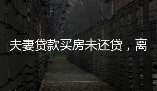 夫妻贷款买房未还贷，离婚后仍需共同承担责任——深入探讨房地产金融纠纷与社会效应分析的文章标题建议及详细内容如下，