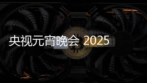央视元宵晚会 2025年璀璨之夜的文化盛宴——热烈庆祝元宵节盛景