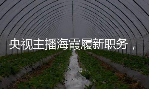 央视主播海霞履新职务，新角色新挑战