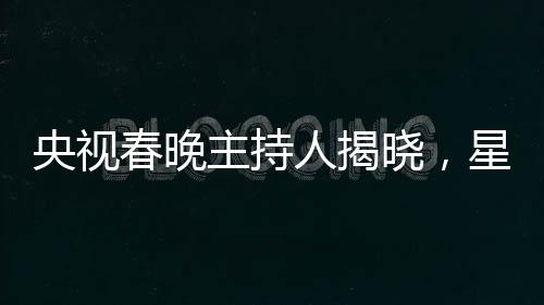 央视春晚主持人揭晓，星光璀璨迎新岁