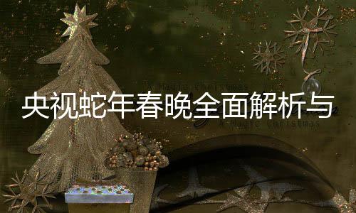 央视蛇年春晚全面解析与精彩回顾