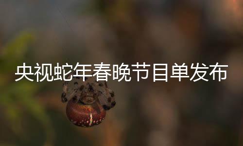 央视蛇年春晚节目单发布，备受瞩目的文化盛宴