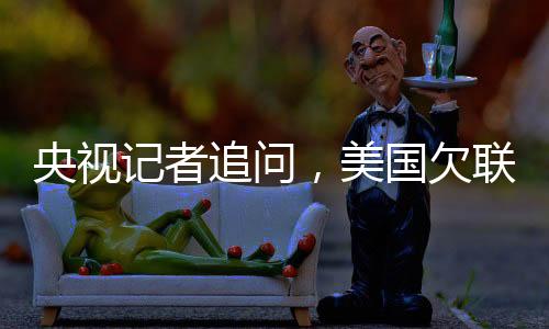 央视记者追问，美国欠联合国多少钱？揭秘背后的真相与争议