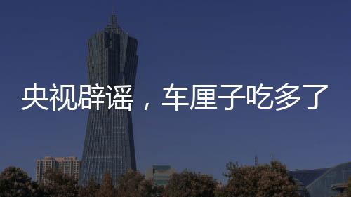 央视辟谣，车厘子吃多了会中毒？一文揭晓真相