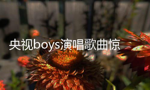 央视boys演唱歌曲惊现易错字，网友热议引关注
