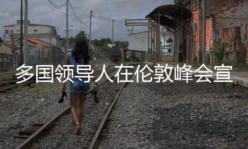 多国领导人在伦敦峰会宣布四项步骤力挺乌克兰