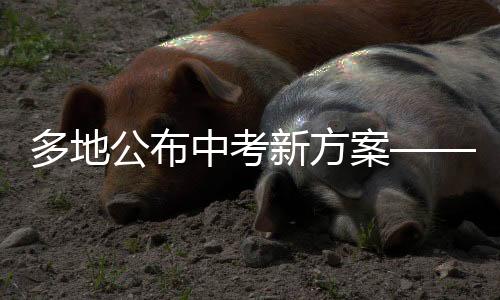 多地公布中考新方案——改革细节与实施展望