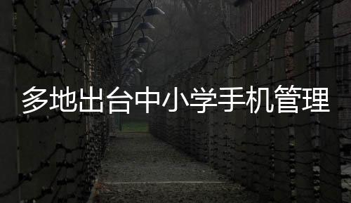 多地出台中小学手机管理禁令，共同守护青少年健康成长