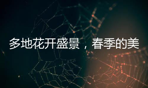 多地花开盛景，春季的美丽画卷正悄然展开