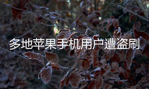 多地苹果手机用户遭盗刷，支付安全引发关注