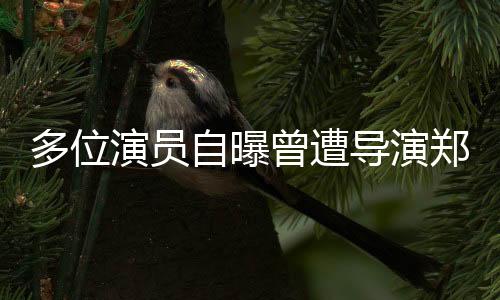 多位演员自曝曾遭导演郑某峰侵害，娱乐圈震撼揭示性丑闻事件！揭开业内深层次黑暗面的调查正酣。这一事件引发了社会各界的广泛关注，对娱乐圈的职业道德和伦理规范提出了严峻挑战。接下来，我们将从十个方面深入探讨这一事件。