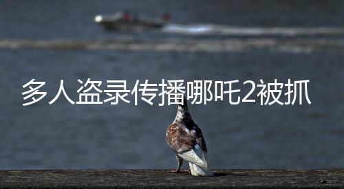 多人盗录传播哪吒2被抓事件全解析