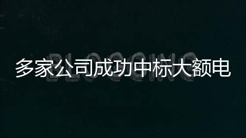 多家公司成功中标大额电网采购订单，推动能源领域合作迈向新高度