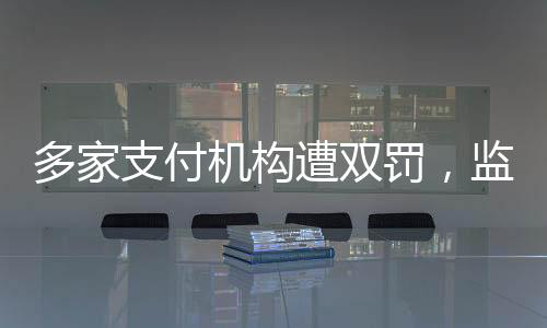 多家支付机构遭双罚，监管加强，行业秩序重塑