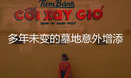 多年未变的墓地意外增添新坟，乡村墓葬现象的观察与反思