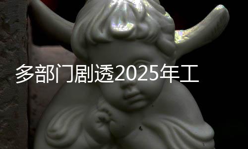 多部门剧透2025年工作计划，全面推进各领域发展，实现更高质量增长