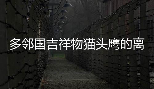 多邻国吉祥物猫头鹰的离世，一个令人惋惜的告别