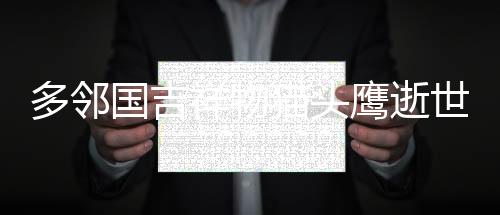 多邻国吉祥物猫头鹰逝世，一只与数字教育紧密相联的特别生命离去