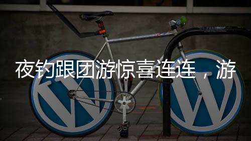 夜钓跟团游惊喜连连，游客偶遇大型鱼群