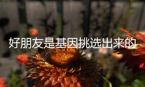 好朋友是基因挑选出来的亲人！真的没骗你