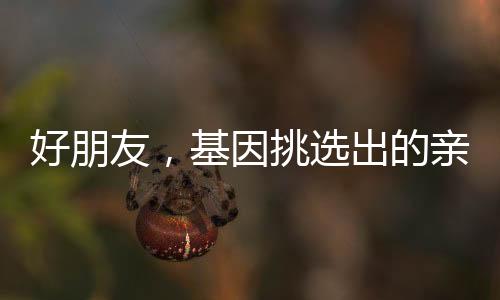 好朋友，基因挑选出的亲人